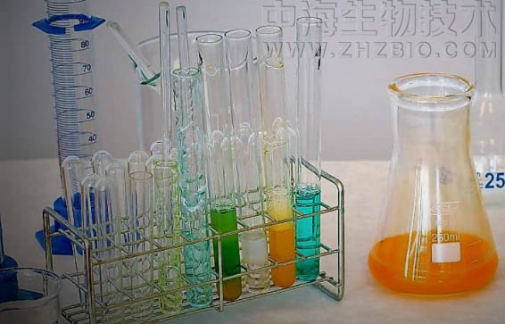淺談培養(yǎng)基保存放置需注意四個方面？